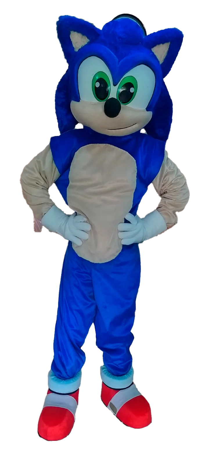 Personagens do Festival Infantil